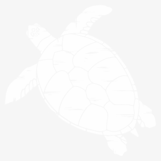 Corporate Icon Jpg File Tortol Turtle White - Illustration #4552361