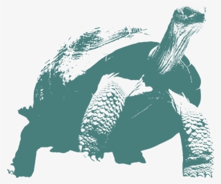 Operation - Illustration #4552701