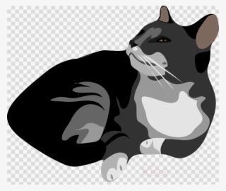 Download Grey And White Cat Ornament Clipart Kitten - Wanted Dead And Alive #4552839