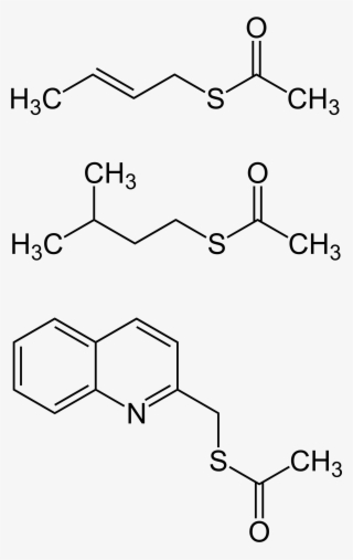 Open - D Leucine #4553016