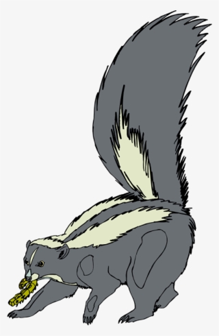 Skunk Clip Art - Skunk Painting Transparent Png #4553307