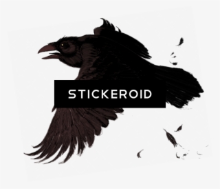 Raven - Portable Network Graphics #4554383