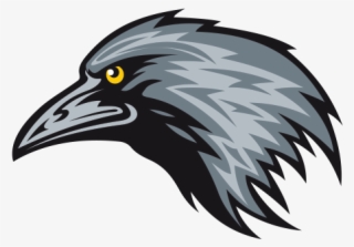 Crow Clipart Crow Head - Raven Mascot Vector #4554457