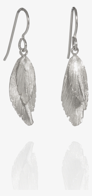 Silver Feather Hook Earrings By Aurum - Aurum By Guðbjörg Jewellery #4554858