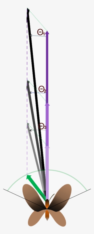 Team - Valencia Upv - 2014 - Igem - Org - " - Parallel #4558644