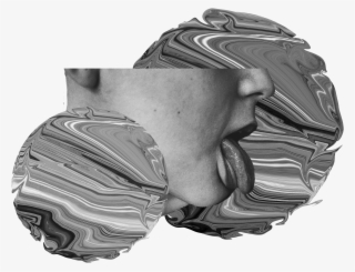 Brain Wonders #4560231