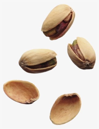 Best Free Pistachios Icon - Фисташки Пнг #4564927