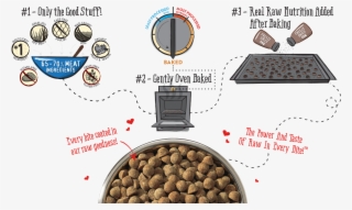 Delivering The Ultimate High Protein, Low-carb Diet - Stella And Chewys Kibble #4565401