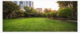 茵梦苑草坪lawn Of The Yinmengyuan Garden - Lawn #4567033