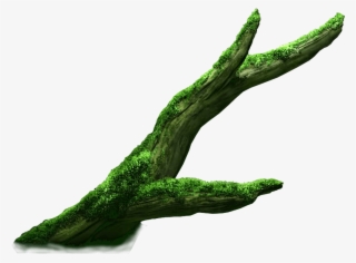 Parallax-clownfish - Illustration #4568105