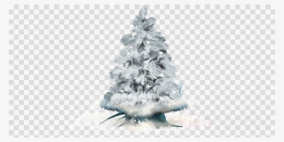 Winter Christmas Tree Png Clipart Christmas Tree Spruce - Fullmetal Alchemist Alphonse Png #4568739