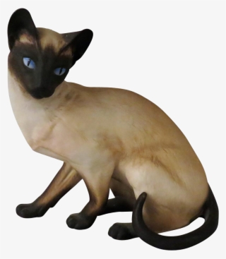 Anticipation Siamese Cat By Eric Tenney For Franklin - Siamese Cat Transparent Background #4569189