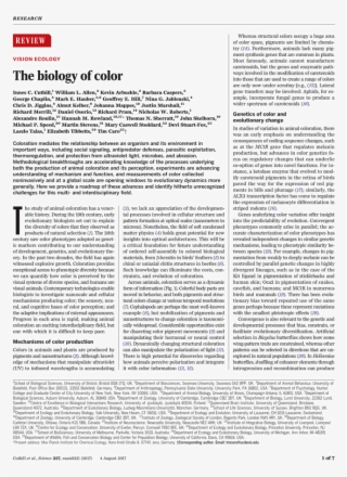 Folio Fifteen From Burchard Of Sion's De Locis Ac Mirabilibus #4570367