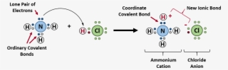 4 Formation Of Ammonium Chloride - Covalent Bond #4570732