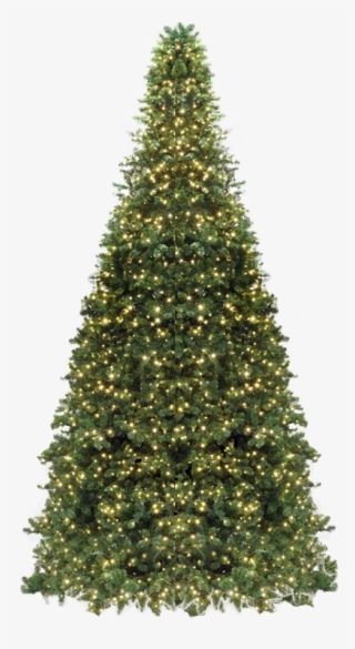 Quick View - Christmas Tree #4571574