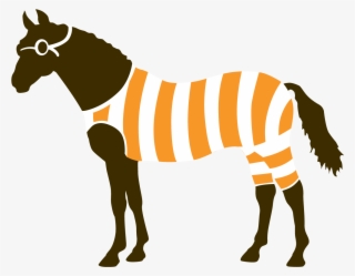 The Diving Horse - Eskadron Abschwitzdecke Fleece Highneck (heritage Hw #4574528