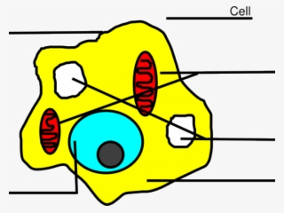 Easy Animal Cell #4575387