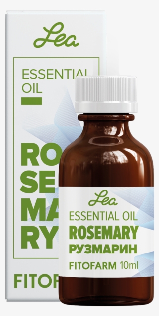 Rosemary Essential Oil Rosmarinus Officinalis #4575867
