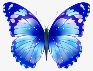 Download Valentinsgruß Notecard Auf Polnisch Mitteilungskarte - 4 Butterflies Flowered Backgroud Shower Curtain #4575988