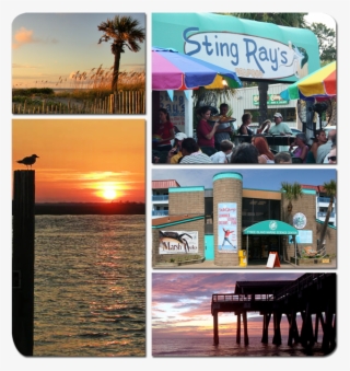 You Are Also Close To The Tybee Island Marine Science - Collage #4581091