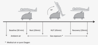 Study Protocol For Head-up Tilt Test - Head Up Tilt Test Hut - Free ...