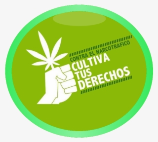 Narcotrafico Cultiva Tus Derechos #4581622