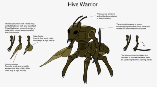 Post - Insect #4581838