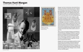 Geneticist, Nobel Laureate , Download (1 - Thomas Hunt Morgan Inventions #4584187