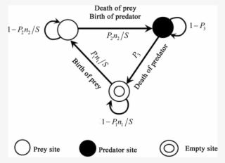 The Transitions Of The Model - Diagram #4584379