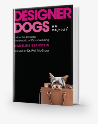 By Madeline Bernstein - Flyer #4586207
