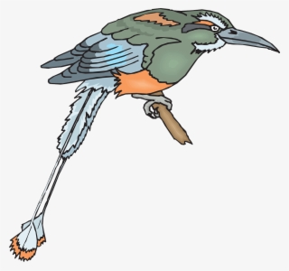 Bird Branch Wings Beak Feathers Png Image - Bird #4587732