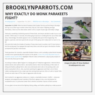 Posted On September 14, 2015 January 9, 2018 By Elizabeth - Tree #4587882