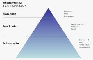 Ombre Azurite Produces The Same Sunny Floral Aroma - Triangle #4588850 Ombre Azurite Produces The Same Sunny Floral Aroma - Triangle #4588850