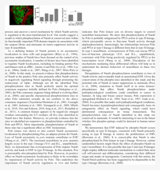 Download - Document #4589889