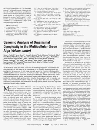 Discovery Of Achilles On Skyros #4590070