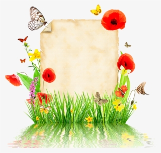 Parchemins Escalope Png, Borders For Paper, #4590894