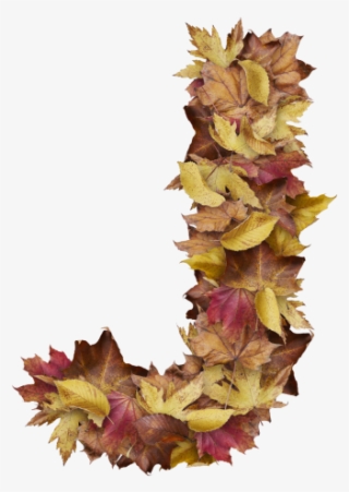 Letter J From Dry Leaves - Portable Network Graphics #4591933