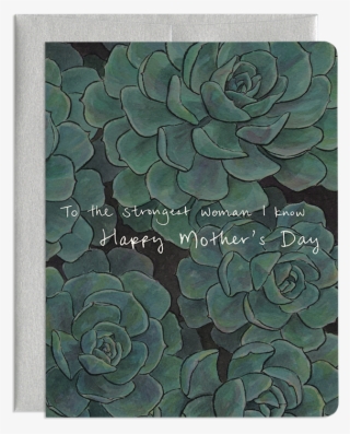 Strong Like Succulent - Echeveria #4593394