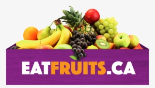 Marco Picard Liked This - 180 Health Transformation Guide #4595192