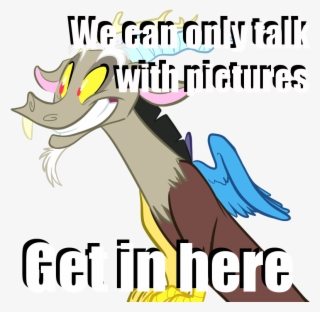 **naadrebel Rolled A Random Image Posted In Comment - Discord Mlp Fim #4595574