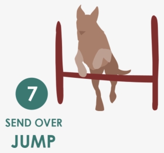 Exercise 1-7 - Jump - Dog Catches Something #4595767