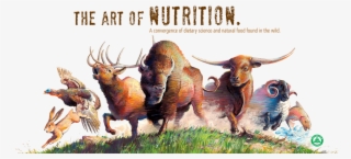 Works Of A Schizophrenic: Illness #4596559