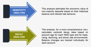 Services With Alm First - Majorelle Blue #4599064