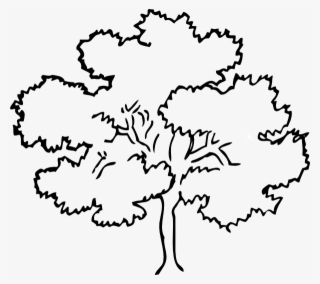 Family Reunion Tree Clip Art #4599959 Family Reunion Tree Clip Art #4599959