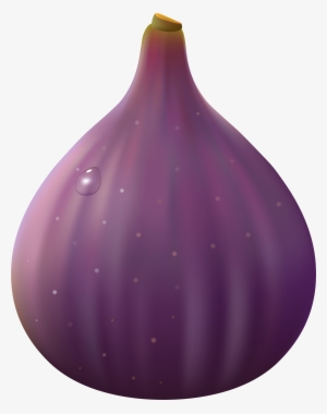 Fig Clipaart #460845