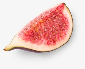 Fig - Common Fig #460934