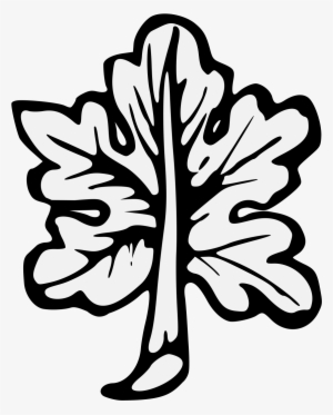 Details, Png - Common Fig #461738