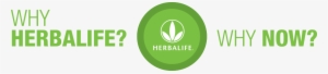 Why Herbalife, Why Now - Herbalife Transparent Png #462219