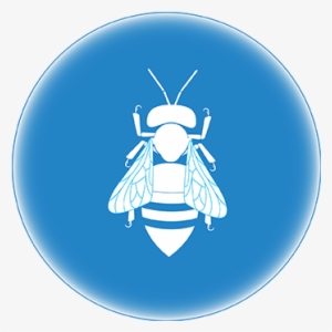 Swarm Algorithmic Logic - Encycle Corporation #462477