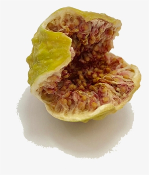 Dried Figs - Common Fig #462811